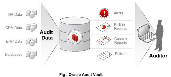 Oracle VAULT SOLUTION